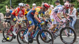 tdf 2023 8